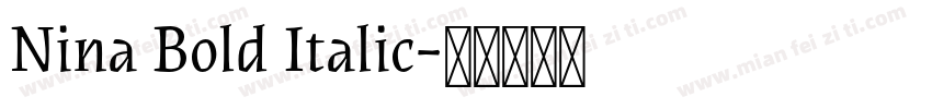 Nina Bold Italic字体转换